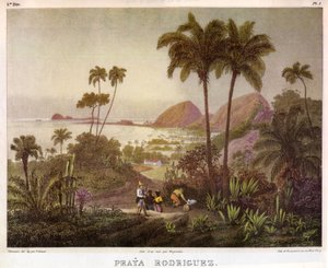 アーティストヨハンモリッツルヘンダスの絵画 作： Johann Moritz Rugendas